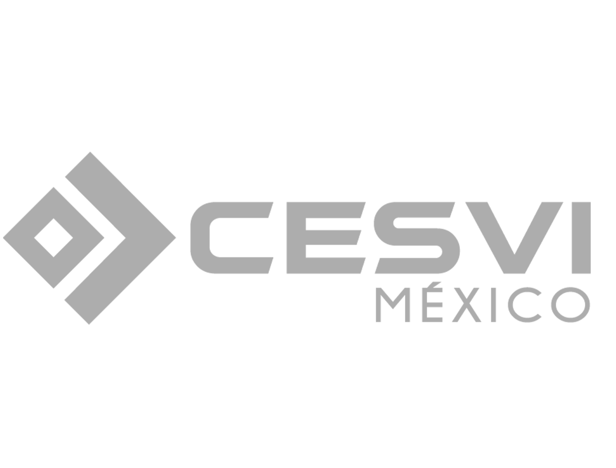 Cesvi